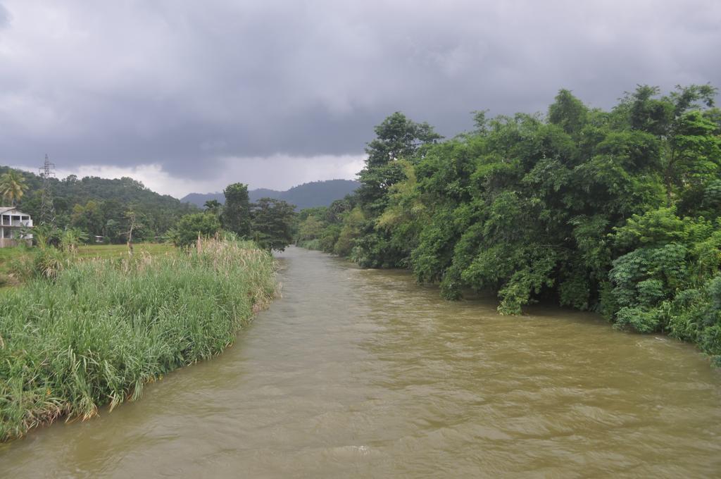 River Edge Bungalow Matale Extérieur photo