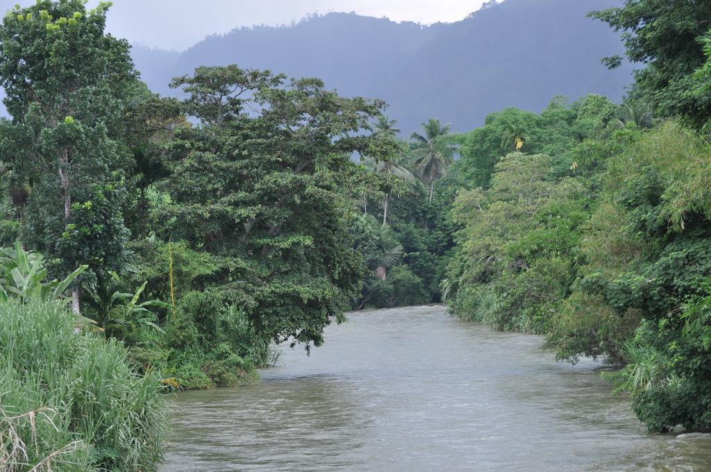 River Edge Bungalow Matale Extérieur photo